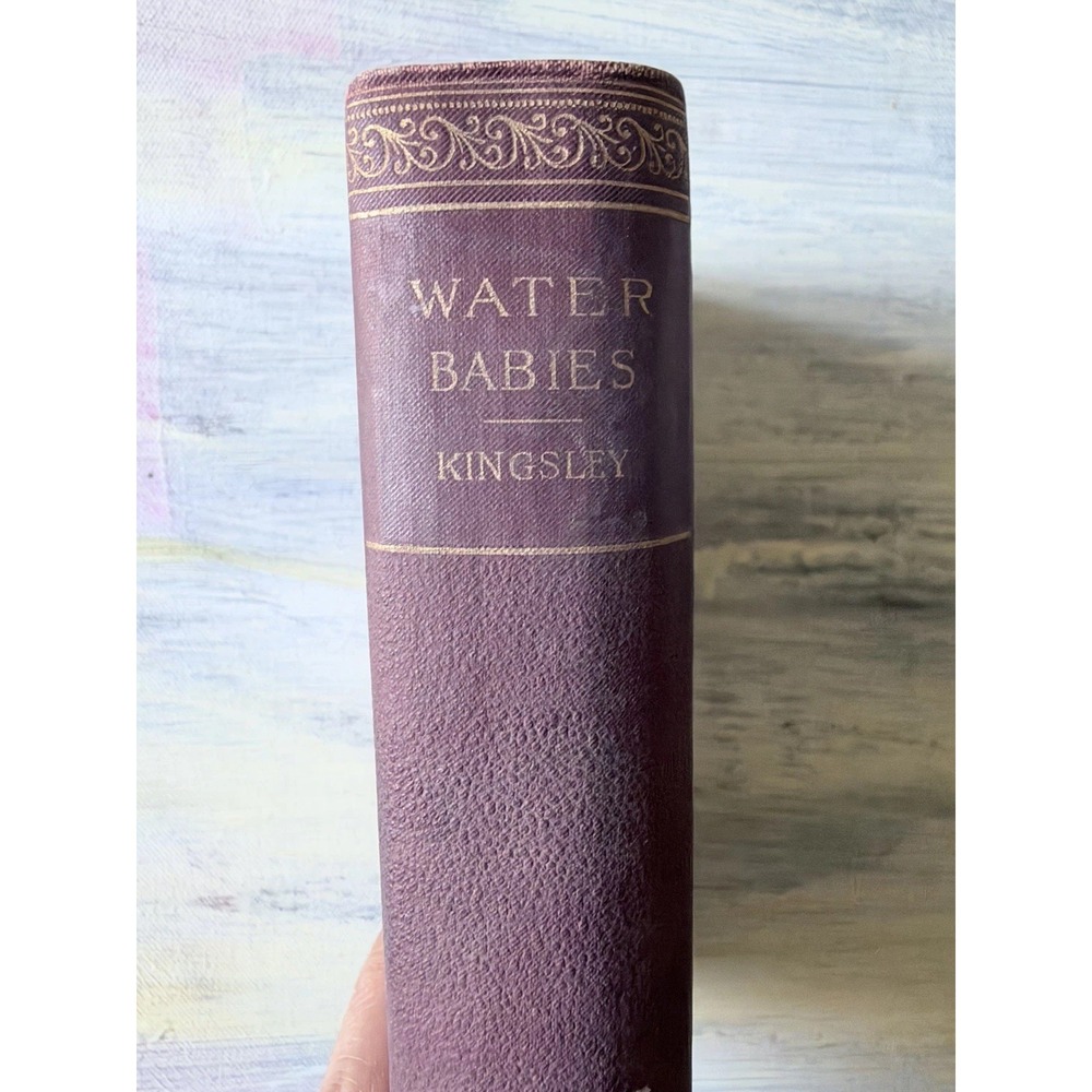 1895 The Water-Babies Charles Kingsley Antique Hardcover Thomas Y Crowell